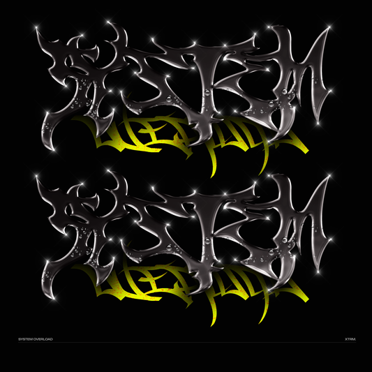 [DIGITIAL DL] Single : System Overload